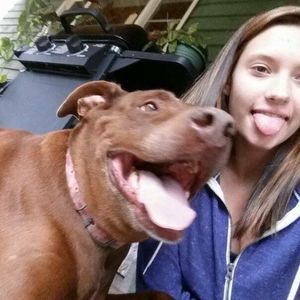 Meet your Posher, Cheyenne